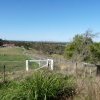 View from St John of God Hospital, Richmond